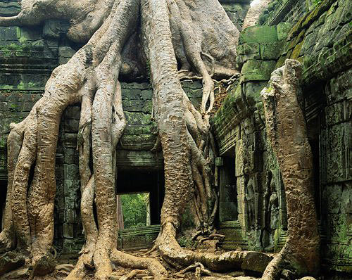 Сием Рип, Ангкор Ват
