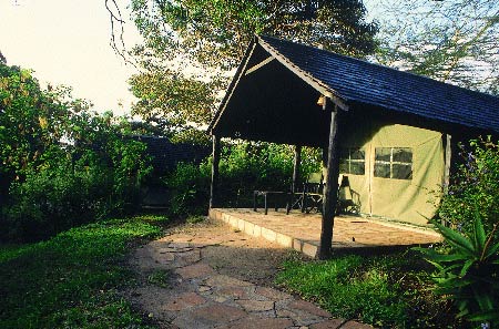 Sarova Mara Camp