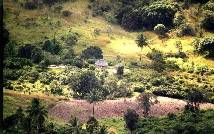 Shimba Rainforest Lodge – Shimba Hills