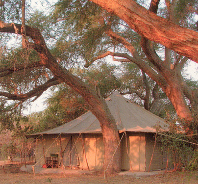 Lechwe Plains Tented Camp