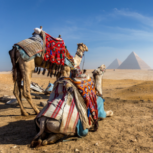 Vip -тур в Египет: Каир, круиз по Нилу и Асуан 