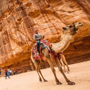 Большое путешествие в Иорданию. Библейские святыни и отдых на Мертвом море